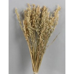 AVENA NATURALE BUSTA 100gr