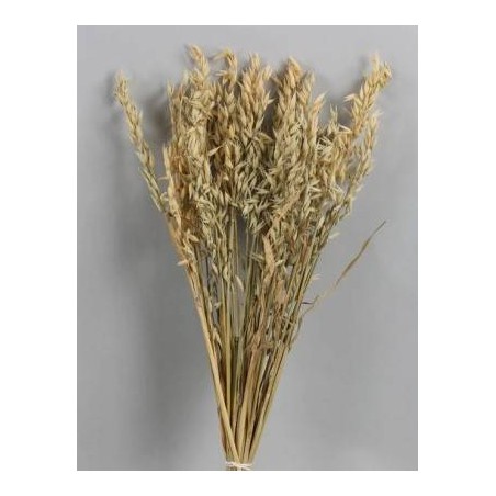 AVENA NATURALE BUSTA 100gr