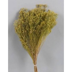 BROOM NATURALE BUSTA 100gr