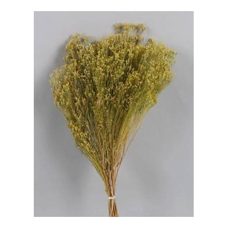 BROOM NATURALE BUSTA 100gr
