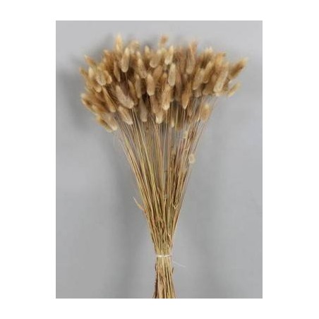 LAGURUS NATURALE BUSTA 100gr