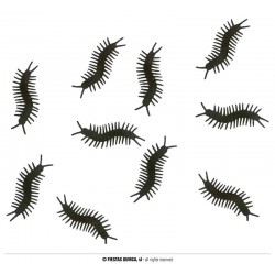 CONFEZIONE 10 SCARAFAGGI 7cm