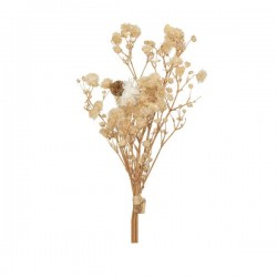 PICKS DRY FLOWERS H10cm CREMA
