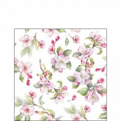 TOVAGLIOLI 25X25 BLOSSOM WHITE 20pz