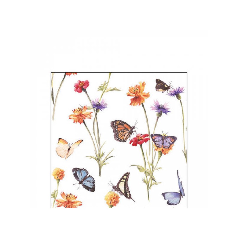 TOVAGLIOLI 25x25 BUTTERFLY GARDEN WHITE 20pz