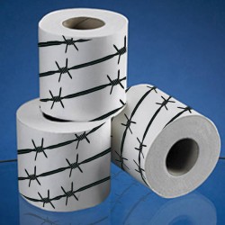 ROTOLO CARTA IGINICA FILO SPINATO