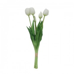 BOUQUET TULIP 5 TULIPANI BIANCHI 39cm