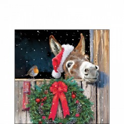 TOVAGLIOLI 25x25 FRIENDS WITH DONKEY 20pz