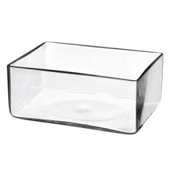 VASO VETRO RETTANGOLARE H.10x25X18cm 2379