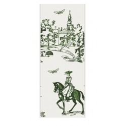 NASTRO TOILE DE JOUY mm38x15mt COL.11