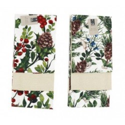 SET 3 CANOVACCI XMAS BERRIER 2ass.ti