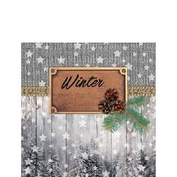 TOVAGLIOLI 25x25 WINTER 20pz