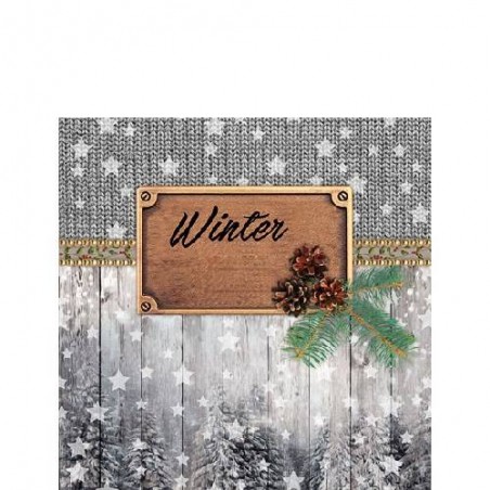 TOVAGLIOLI 25x25 WINTER 20pz