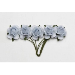 PICKS FIORE CELESTE ø2cm 20pz