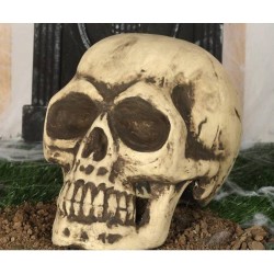 TESCHIO IN FOAM 32cm