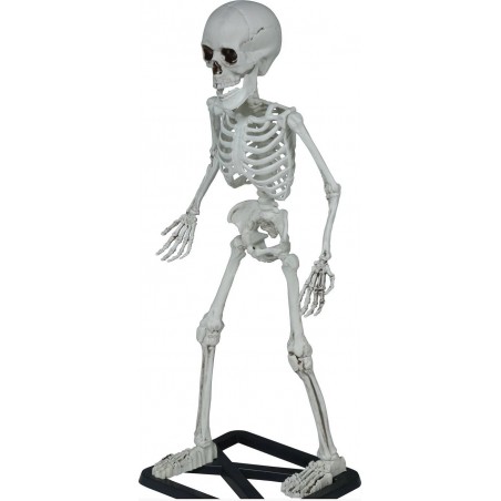 SCHELETRO IN PIEDI 55cm