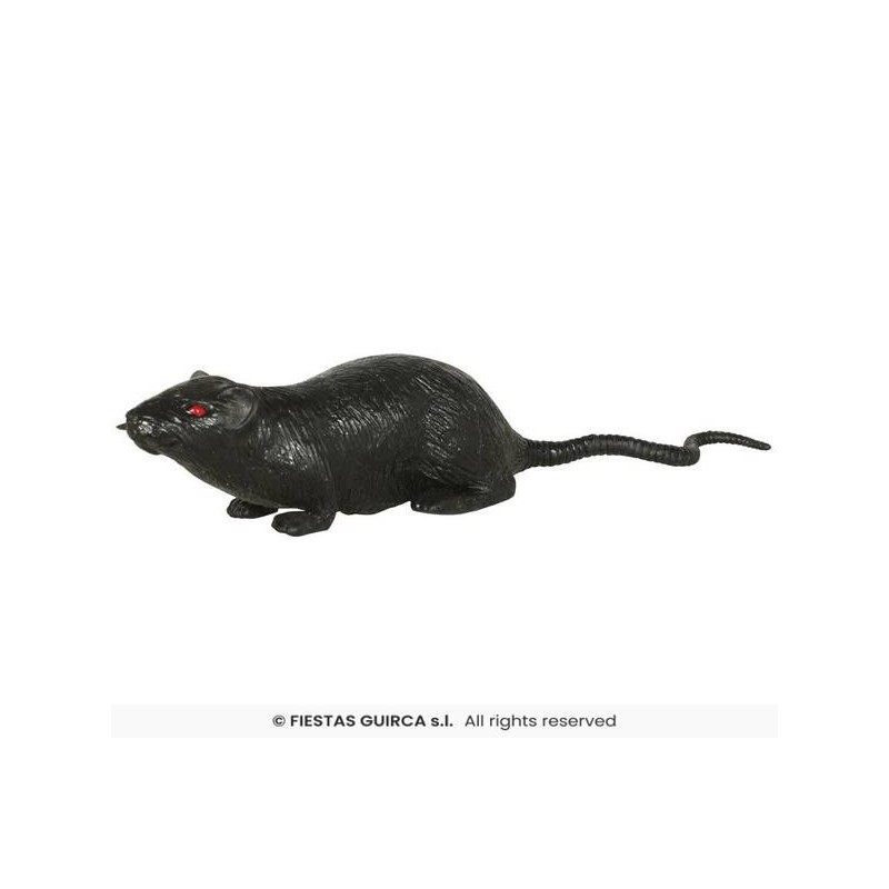 TOPO IN LATTICE 10cm