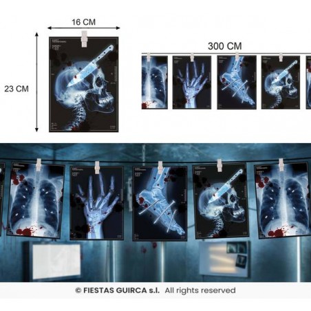 FESTONE RADIOGRAFIE SCHELETRO 3mt IN CARTA