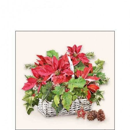 TOVAGLIOLI 25x25 WHITE LANTERN 20pz