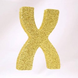 LETTERA POLISTIROLO GLITTER ORO mm120x90 X