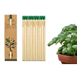 MATITA CON SEMI ASSORTITE 1pz