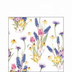 TOVAGLIOLI 25x25 HELLO SPRING 20pz