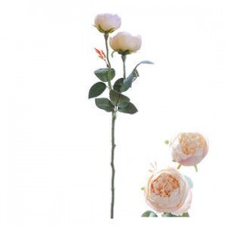 STELO ROSE DOUBLE SALMONE 46cm