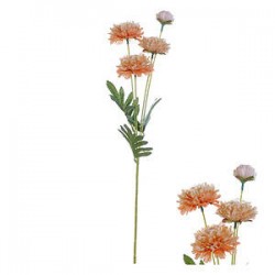 STELO 4 ZINNIANS ARANCIO 61cm