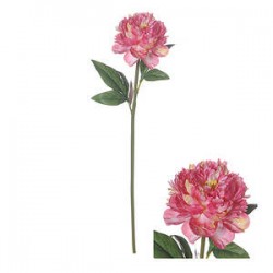STELO PEONIA SALMONE 68 cm