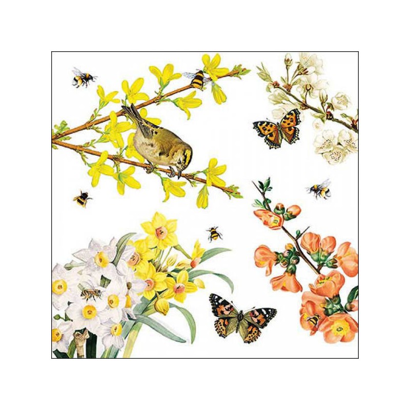 TOVAGLIOLI 33x33 SPRING AWAKENING 20pz