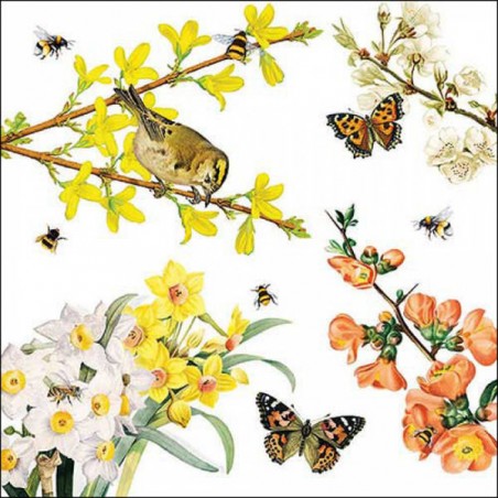 TOVAGLIOLI 33x33 SPRING AWAKENING 20pz