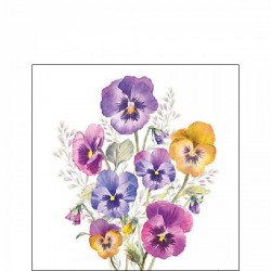 TOVAGLIOLI 25x25 PANSIES 20pz