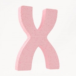 LETTERA POLISTIROLO PASTELLO mm120x90 X ROSA PASTELLO