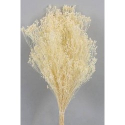 BROOM SBIANCATO BUSTA 100gr