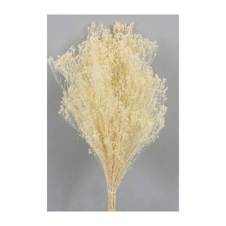 BROOM SBIANCATO BUSTA 100gr