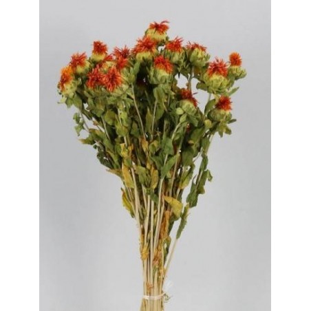 CARTHAMUS CON FIORE BUSTA 100gr