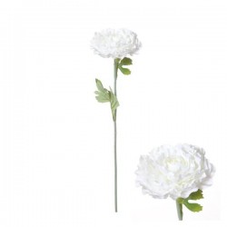 FIORE RANUNCOLO C/STELO 55cm BIANCO