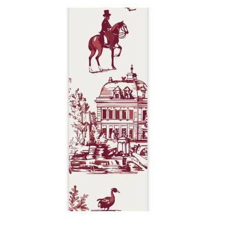NASTRO TOILE DE JOUY mm38x15mt COL.21
