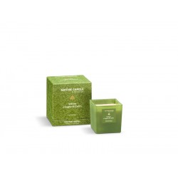 NATURE CANDLE 210gr VETIVER-LEGNO CEDRO