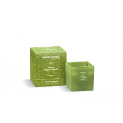 NATURE CANDLE 330gr VETIVER-LEGNO CEDRO