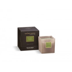 NATURE CANDLE 330gr MIELE BIANCO-FOGLIE DI TABACCO