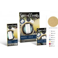 CARTA A4 SPECIAL EVENTS 250gr ARGENTO 10fg