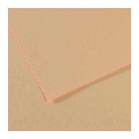 CARTONCINO MI-TEINTES CANSON A4 50fg 160gr ROSE MURAILLE 350