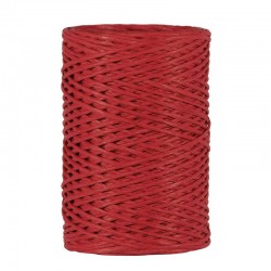 WIRED PAPER RAPHIA mm2x50mt RED