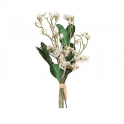 PICKS DRY FLOWERS H10cm BIANCO
