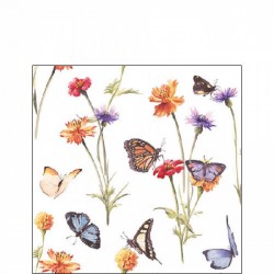 TOVAGLIOLI 25x25 BUTTERFLY GARDEN WHITE 20pz