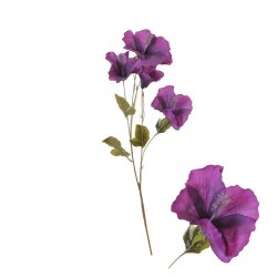 STELO HIBISCUS VIOLA 80cm