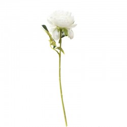 FIORE PEONIA C/STELO 50cm BIANCO