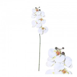 STELO PHALAENOPSIS BIANCO 80cm