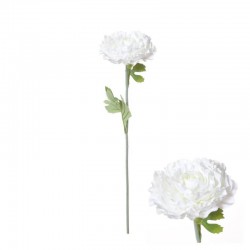 FIORE RANUNCOLO C/STELO 55cm BIANCO